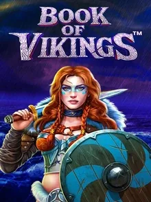 Spelafbeelding van Book of Vikings